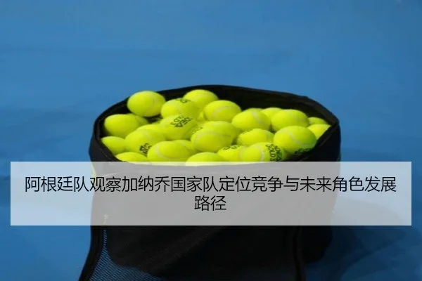 阿根廷队观察加纳乔国家队定位竞争与未来角色发展路径